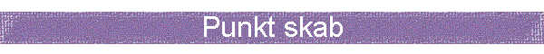 Punkt skab